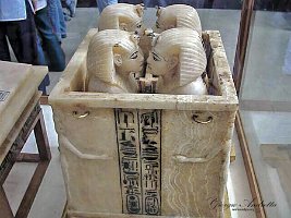 museo canopi