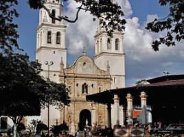 Catedral de Nuestra Señora de la Inmaculada Concepción 2