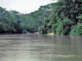 fiume Oxolotán 01