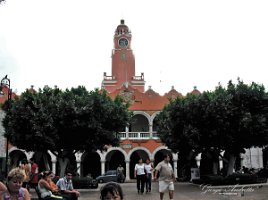 municipio