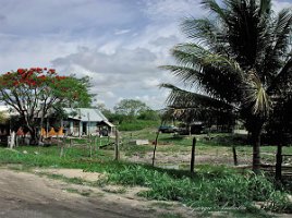 Palenque on the road 3