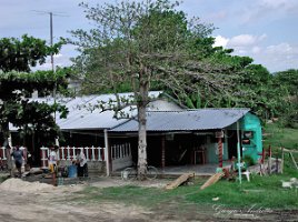 Palenque on the road 5