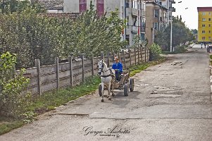 Targu Mures-84