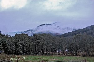 monti_carpazi_0190