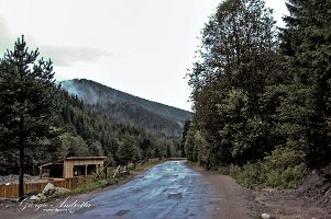 monti_carpazi_0192