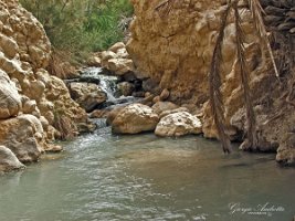 chebika_020