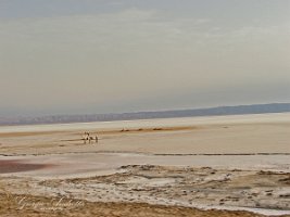 DSCF0438