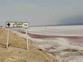 DSCF0441