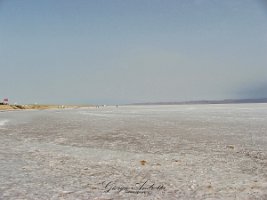 DSCF0447