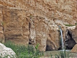 Tamerza_019