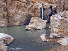 Tamerza_022
