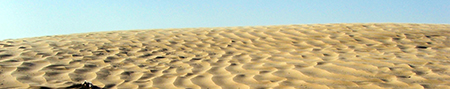 Fotografie del Sahara a Douz