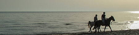 Fotografie di Djerba